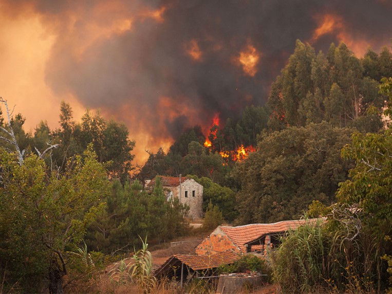 A CCDR-N está a avaliar a dimensão dos prejuízos dos incêndios rurais na Agricultura.