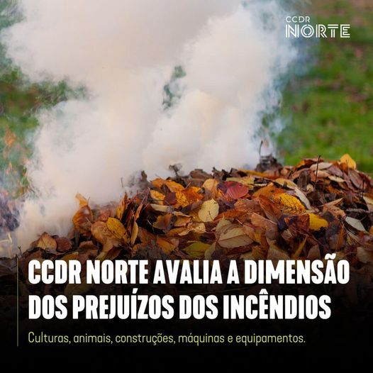 A CCDR-N está a avaliar a dimensão dos prejuízos dos incêndios rurais na Agricultura.